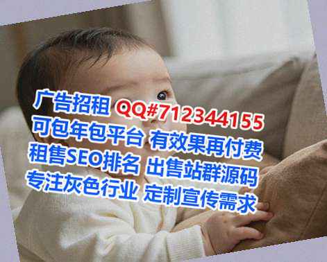 宁武借腹生子安防事务所